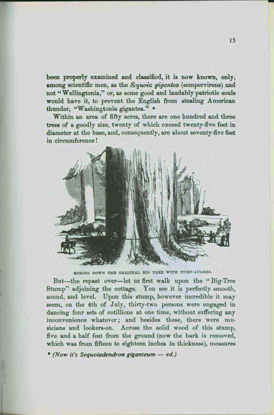 The Mammoth Trees of Calaveras. vist0050e